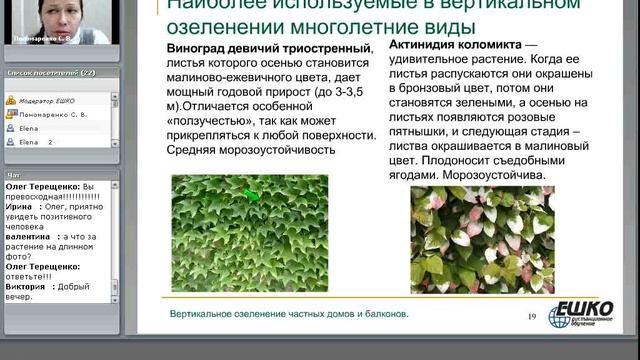 Вертикальное озеленение частных домов и балконов смотреть онлайн