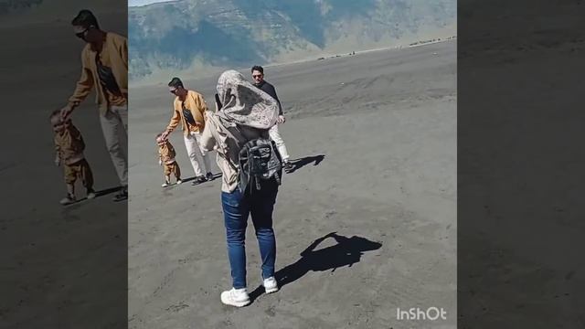 Tour Bromo & Batu Malang part-5 (pasir berbisik spot foto yg ciamiiiik bangeet) @afbichannel7250 смотреть онлайн