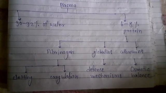 PLASMA AND CONSISTS ELEMENTS ON IT | смотреть онлайн