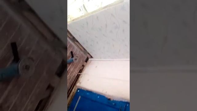 Зашил стену панелями сайдинга.