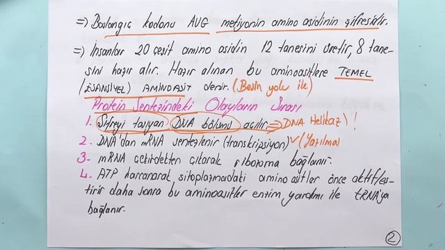 Biyoloji | AYT | Genden Proteine | Protein Sentezi #2 | +PDF