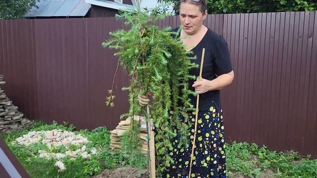 ПЛАКУЧИЕ ФОРМЫ кроны – лепим что хотим смотреть онлайн