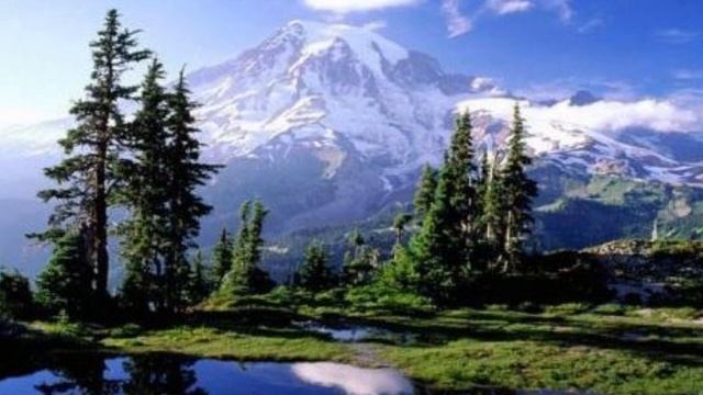 Антон Раданов - китка. смотреть онлайн