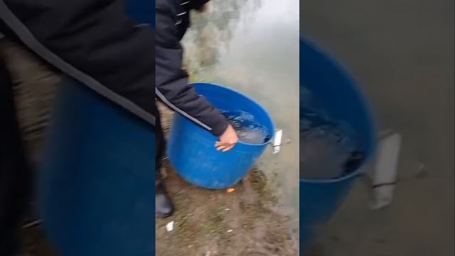 запуск смотреть онлайн