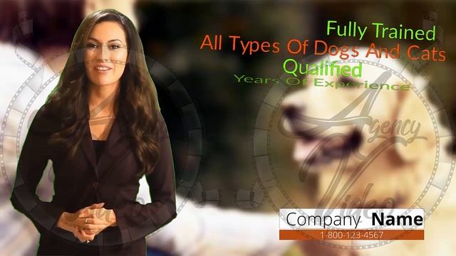 Agency-Video.com | Kinetic Animation with Human Spokespersons | Pet Sitting | Video NO 291 смотреть онлайн