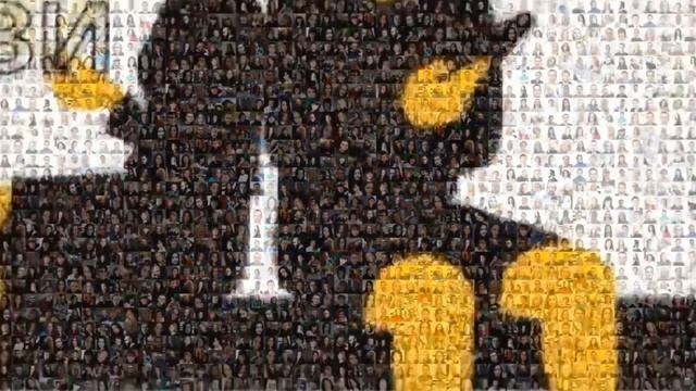 день радио смотреть онлайн