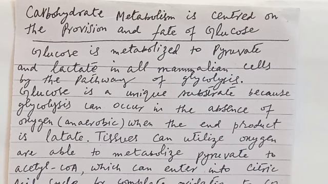 B.Sc II Biochemistry, Ch# Lecture#7(Basic metabolic pathways process ) by Aftab Aleem Farooqi смотреть онлайн