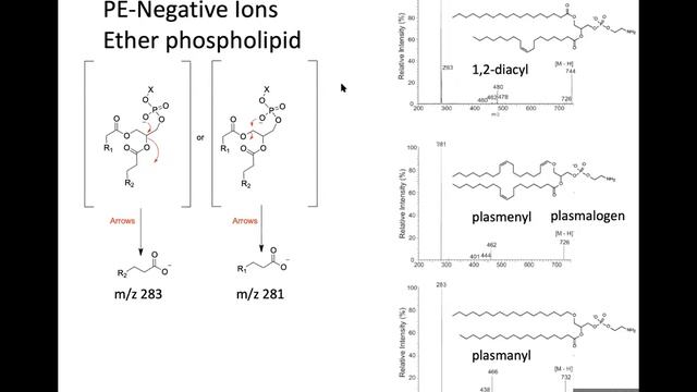 Robert Murphy -February 25th 2020 смотреть онлайн