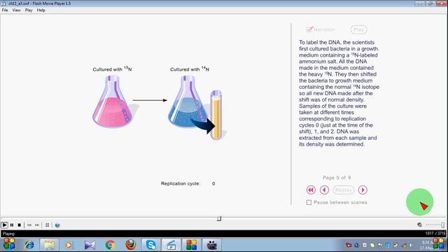 THE MESELSON AND STAHL EXPERIMENT ON DNA REPLICATION смотреть онлайн