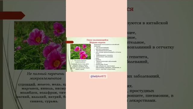 Атоми смотреть онлайн