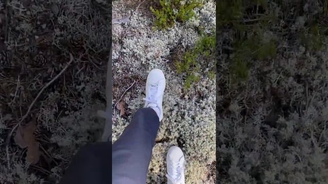 Несомненно оно того стоит, согласны?❤️🩹 #тревелблог #путешествияпороссии #природа