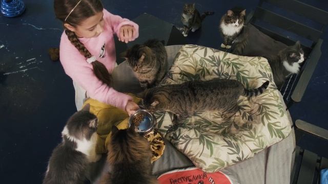 Кто ты - Эвелина Радбиль  - официальный клип