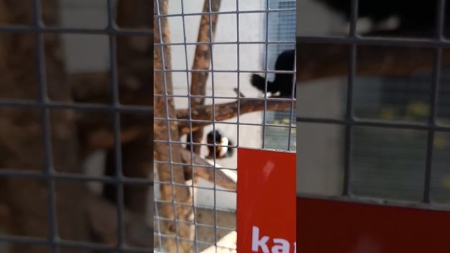 764 день в диагнозе / рак 4 стадия