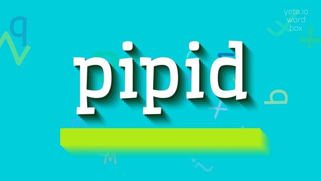 PIPID - HOW TO PRONOUNCE IT? #pipid смотреть онлайн
