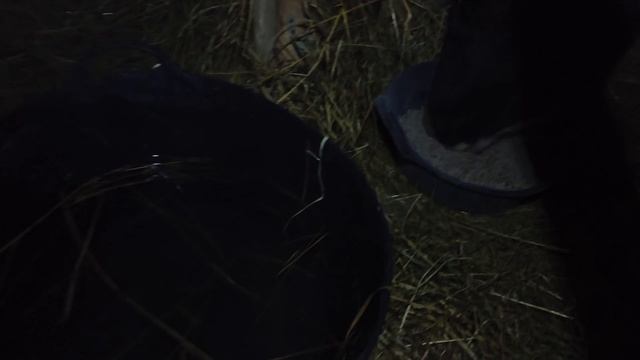 Застряли в поле, опять морозы, проращиваю пшеницу, расклев яиц смотреть онлайн