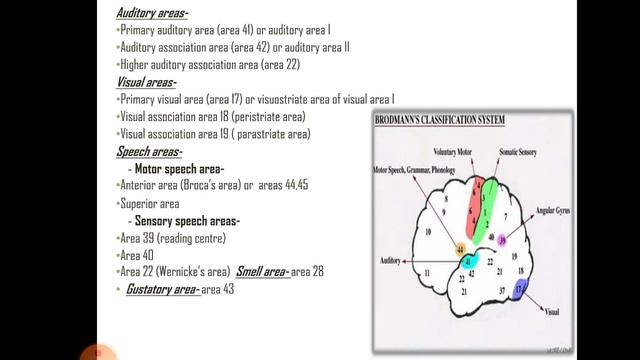 Cerebrum смотреть онлайн