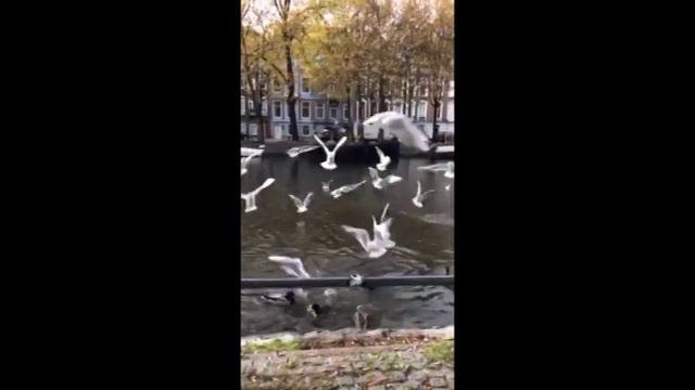 Создание фильм-портрета «Молодой Startupper»