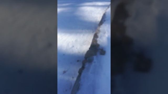 Отдыхаем в парке смотреть онлайн
