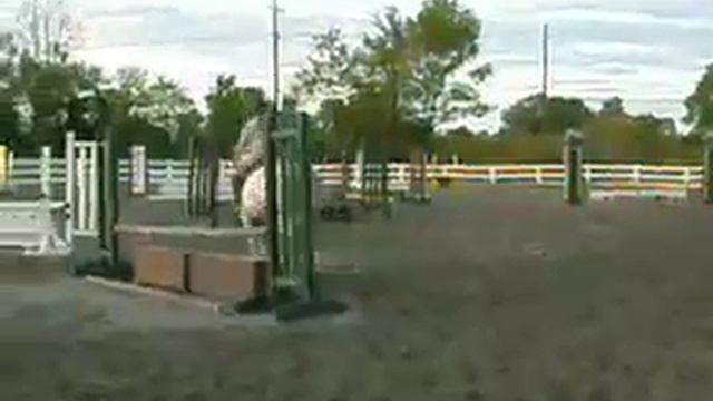 ooh no! Roxy got sold! :( смотреть онлайн