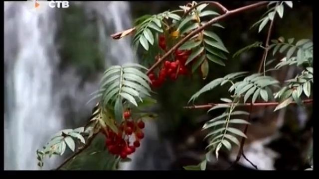 Уход на профилактику канала "СТВ" (Казахстан, 17.10.2018) смотреть онлайн