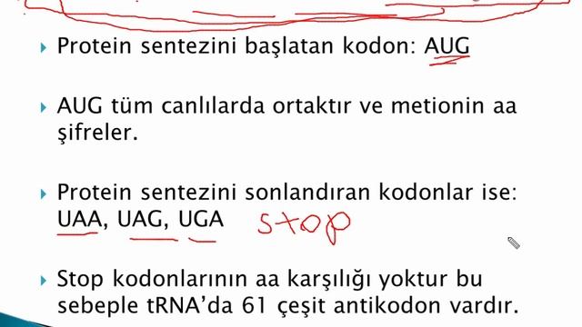 12.Sınıf - Nükleik asitler-4 смотреть онлайн