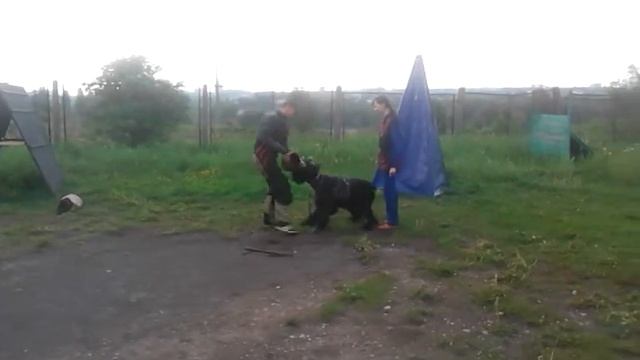 защита 2005.2013