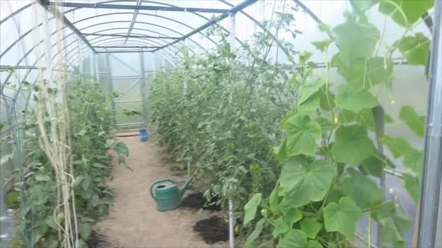 Новости из деревни 8 июля 2019 года смотреть онлайн