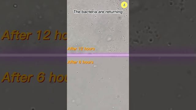 How Long Is Boiled Water Good For | TULO - Microscope #microscope #water #undermicroscope