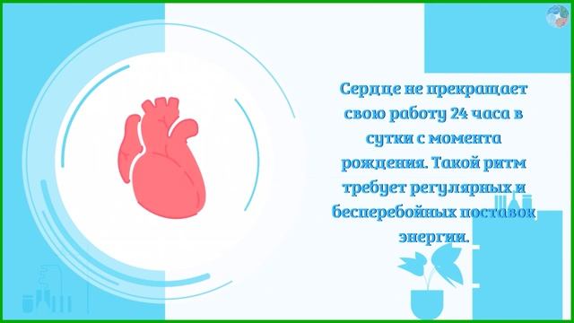 Для чего нам нужен Коэнзим Q10 смотреть онлайн