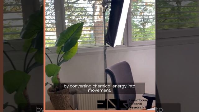 Teaser FNR Awards 2023: Outstanding PhD Thesis смотреть онлайн