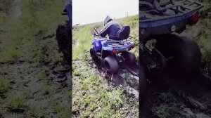 Синий трактор