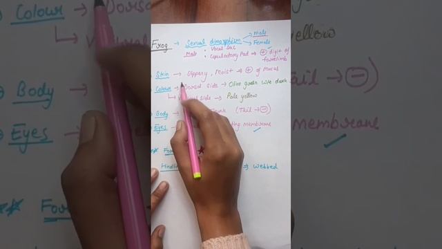 Frog Morphology 🐸 For #NEET2024 Exam Success