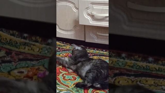 Серый неженка смотреть онлайн