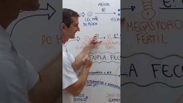 Corte da Aula de REPRODUÇÃO DAS ANGIOSPERMAS disponível na playlist de BOTÂNICA. #vestibular #bio смотреть онлайн