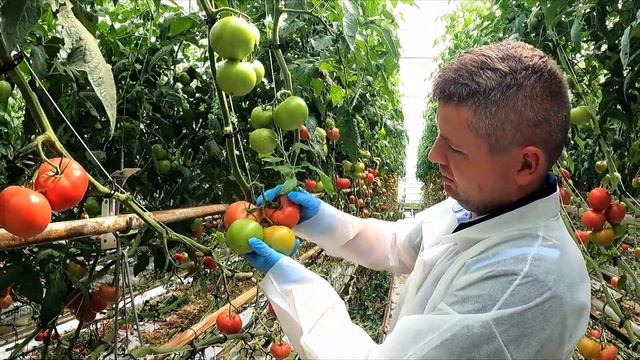 𝗠𝗮𝗹𝘂𝗻𝗼 W Extremanych Warunkach Upalnego Lata☀️