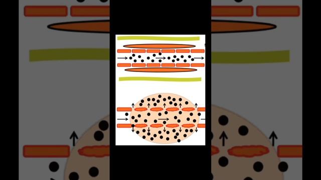 How #inflammation Process Takes Place?