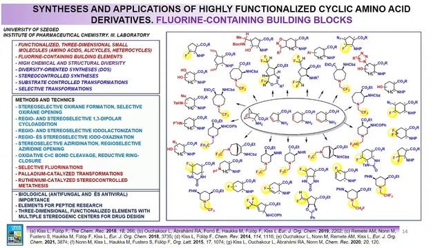 Expanding the chemical space by selective functionalizations of non-natural amino acid derivatives смотреть онлайн