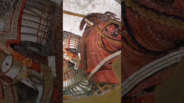 Alexander Great? #india #hindutva #history #ancient #story #legend #hero #success #greece #greek смотреть онлайн