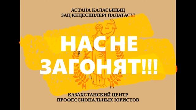 мы не одни! С нами профессиональные юристы! смотреть онлайн