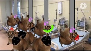 сериал про шлепу "новый шейк" все серии