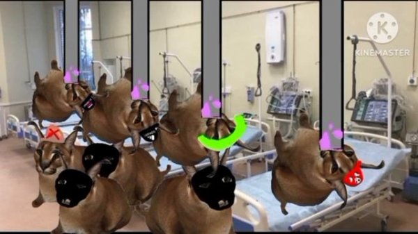 сериал про шлепу "новый шейк" все серии