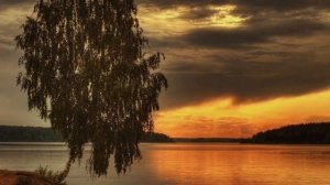 Романс " Зелёная причёска ", на стихи Сергея Есенина .