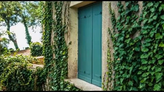 La Pineta Park Hotel смотреть онлайн