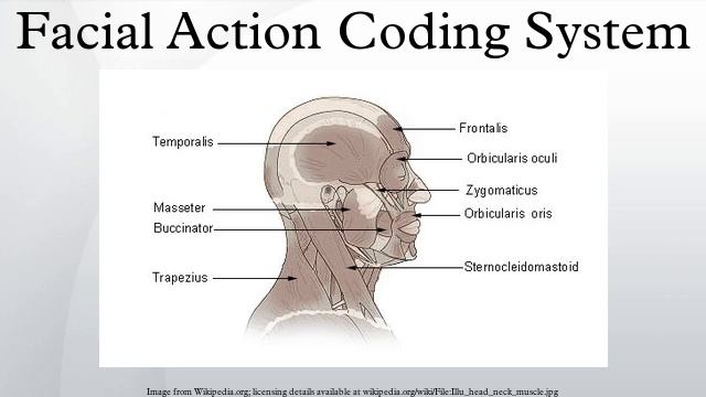 Facial Action Coding System смотреть онлайн