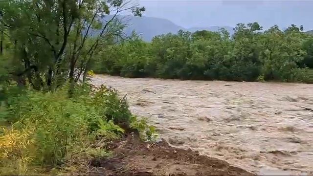 На Камчатке селевым потоком смыло мост смотреть онлайн