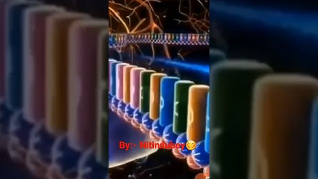 T- RNA Work At Protein Synthesis Time, Link For Full Video:- Https://youtu.be/mkd8pZopv4o