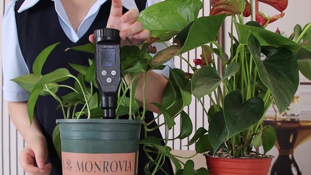 YY-1033 Bluetooth Soil PH Meter--A perfect Tool to Improve Your Plant Surviving and Yield смотреть онлайн