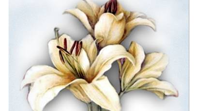 ЛЕНОРМАН ✨✨✨ Практика. 🎩🎩🎩 #ПОИСК ВЕЩЕЙ 🤠 смотреть онлайн