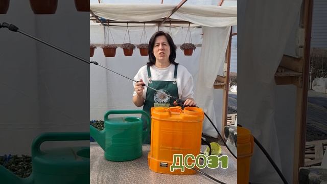 🌺Для обильного цветения буду кормить петунию .... смотреть онлайн