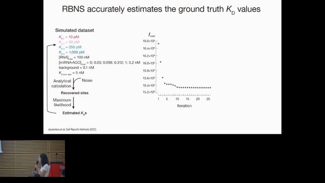 High-throughput analysis of microRNA-binding... - Karina Jouravleva - iRNA - ISMB/ECCB 2023 смотреть онлайн